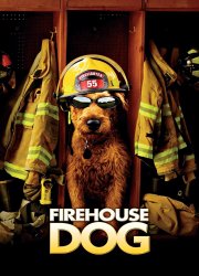 Watch Firehouse Dog
