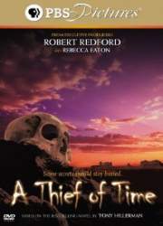 Watch A Thief of Time