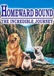 Watch Homeward Bound: The Incredible Journey
