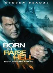 Watch Born to Raise Hell