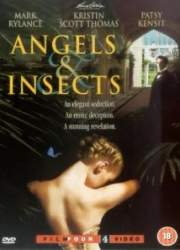 Watch Angels and Insects