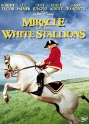 Watch Miracle of the White Stallions
