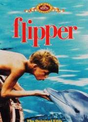 Watch Flipper
