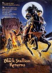 Watch The Black Stallion Returns
