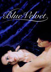 Watch Blue Velvet