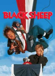 Watch Black Sheep