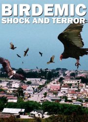 Watch Birdemic: Shock and Terror
