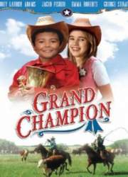 Watch Grand Champion