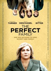 Watch The Perfect Family
