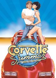 Watch Corvette Summer