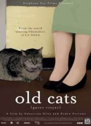 Watch Old Cats