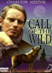 Watch The Call of the Wild