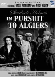 Watch Pursuit to Algiers