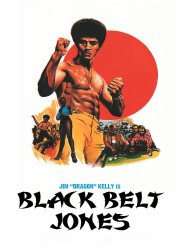 Watch Black Belt Jones