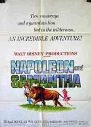 Watch Napoleon and Samantha