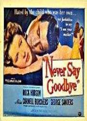 Watch Never Say Goodbye