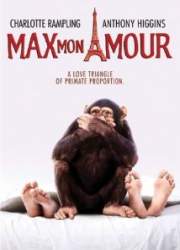Watch Max mon amour