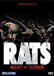 Watch Rats - Notte di terrore
