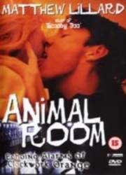 Watch Animal Room