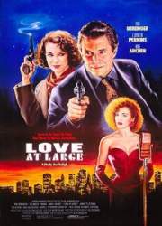 Watch Love at Large