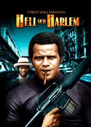 Watch Hell Up in Harlem