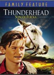 Watch Thunderhead - Son of Flicka
