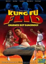 Watch Kung Fu Flid