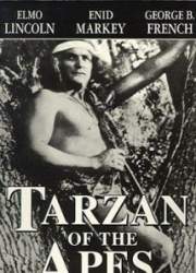Watch Tarzan of the Apes