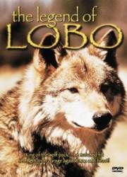 Watch The Legend of Lobo