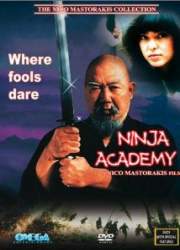 Watch Ninja Academy