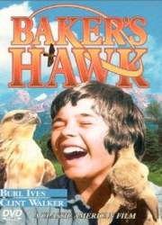 Watch Baker's Hawk