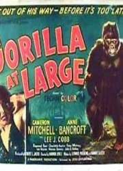 Watch Gorilla at Large