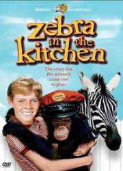 Watch Zebra in the Kitchen