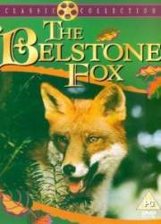 Watch The Belstone Fox