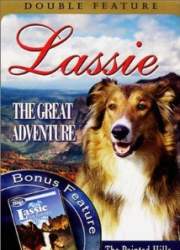 Watch Lassie's Great Adventure