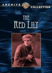 Watch The Red Lily