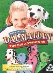 Watch Operation Dalmatian: The Big Adventure