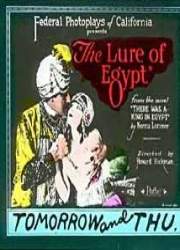 Watch The Lure of Egypt