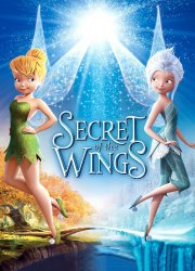 Watch Secret of the Wings