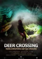 Watch Deer Crossing