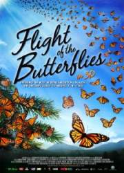 Watch Flight of the Butterflies