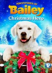 Watch Adventures of Bailey: Christmas Hero