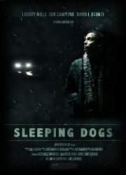 Watch Sleeping Dogs