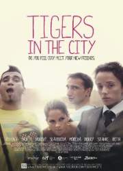 Watch Tigre v meste