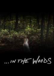 Watch In the Woods