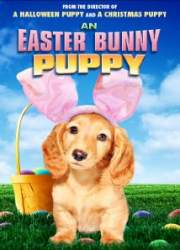 Watch An Easter Bunny Puppy