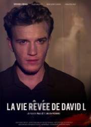Watch La vie rêvée de David L