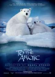 Watch To the Arctic 3D