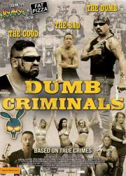 Dumb Criminals: The Movie