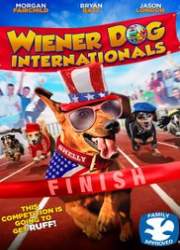 Watch Wiener Dog Internationals 